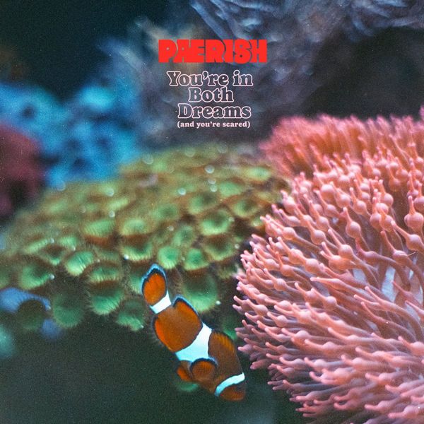 Paerish - You'Re In Both Dreams And You'Re Scared - Import CD