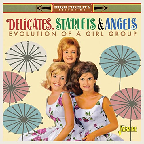 Delicates Starlets & Angels - Evolution Of A Vocal Group - Import  CD