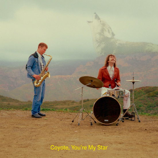 Dana & Alden - Coyote, You're My Star - Import CD