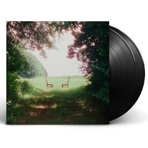 Ratboys - Singin' to an Empty Chair - Import Vinyl 2 LP Record