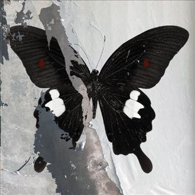 Death Cult - Paradise Now - Import Crystal Clear With White & Black Splatter Vinyl LP Record Limited Edition
