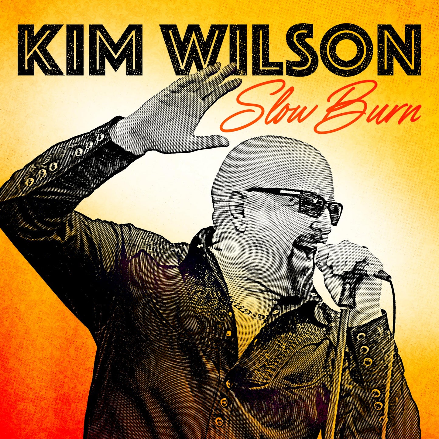 Kim Wilson - Slow Burn - Import CD