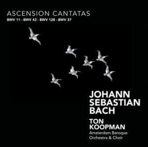 Bach (1685-1750) - Cantata.11, 37, 43, 128: Koopman / Amsterdam Baroque O & Cho - Import CD