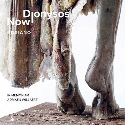 Dionysos Now ! Vienna - Adriano 5 In Memoriam Adriaen Willaert - Import CD
