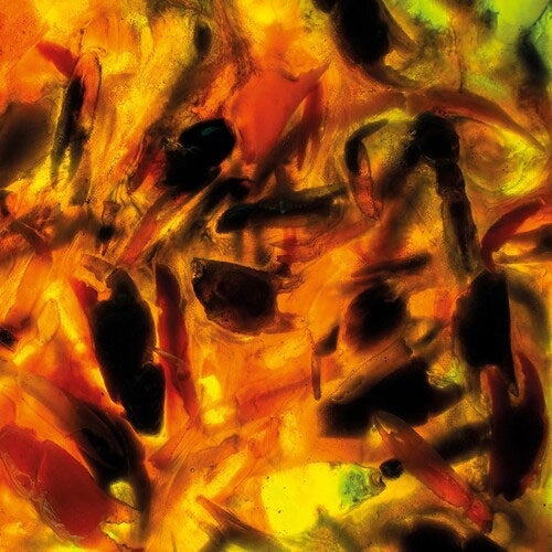 Plague Rider - Intensities - Import CD Digipak