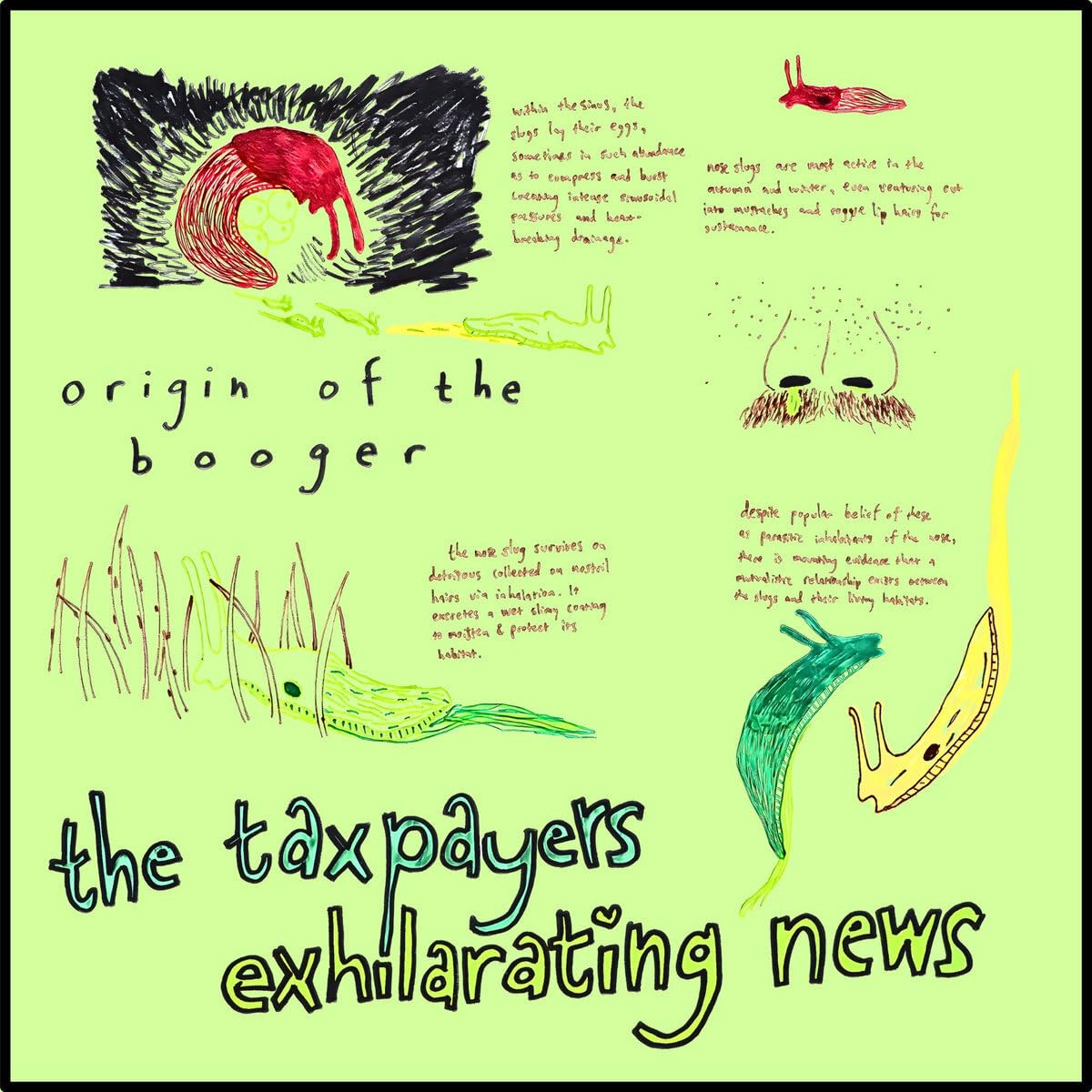 The Taxpayers - Exhilarating News - Import Vinyl LP Recurd