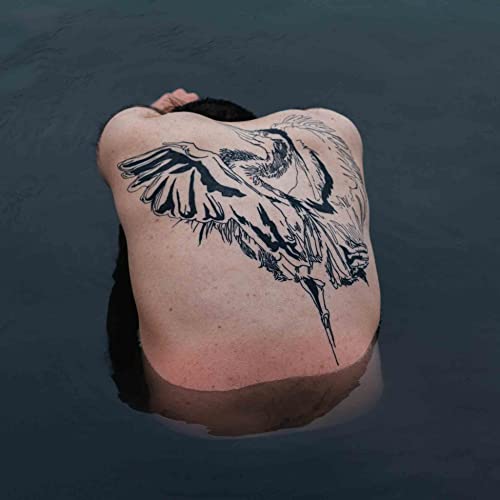 Jodi (Nick Levine) - Blue Heron - Import CD
