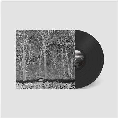 Pile - Sunshine And Balance Beams - Import Vinyl LP Record