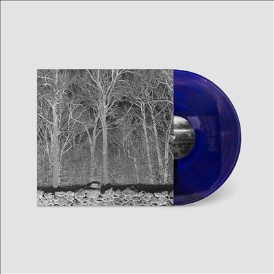 Pile (Us Indie) - Sunshine And Balance Beams - Import Transparent Mix Boris Purple Vinyl LP Record Limited Edition