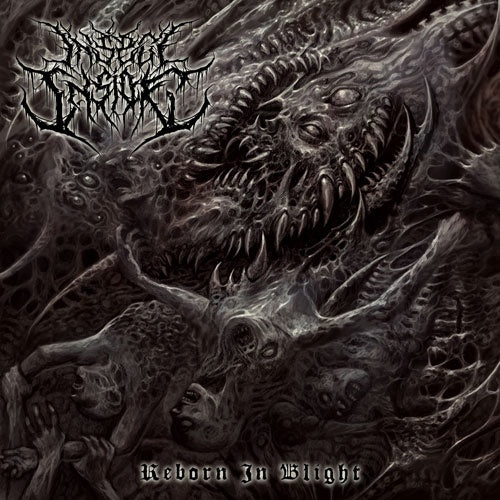 Insect Inside - Reborn In Blight - Import CD