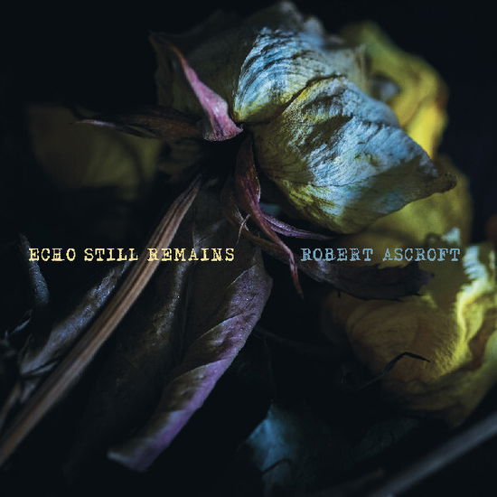 Robert Ascroft - Echo Still Remains (Indie Exclusive) - Import Aqua Vinyl LP Record