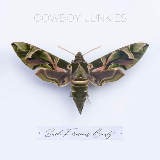 Cowboy Junkies - Such Ferocious Beauty - Import CD