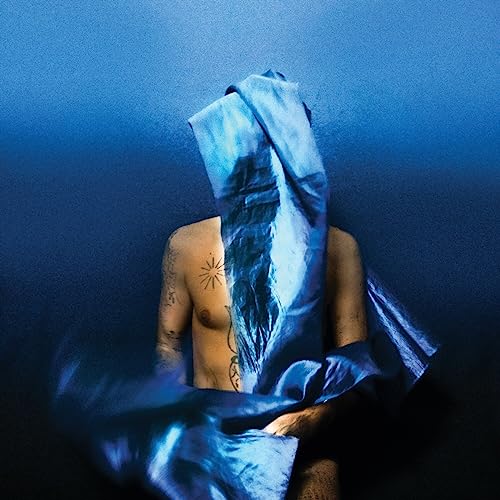 Devendra Banhart - Flying Wig - Import  CD