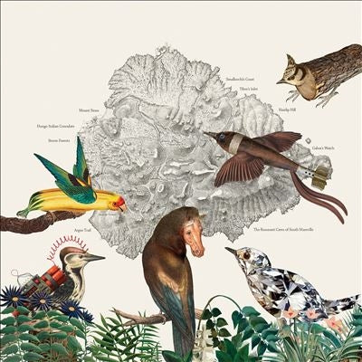 Friendly Rich - The Birds Of Marsville - Import LP Record