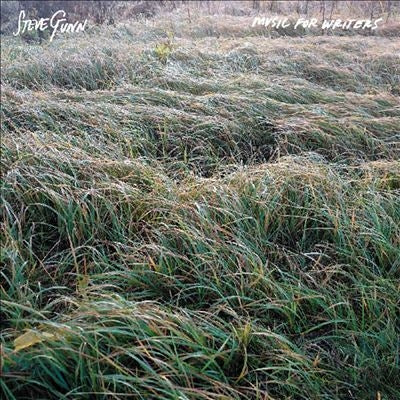 Steve Gunn - Music For Writers - Import Opaque Orange Vinyl LP Record