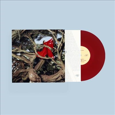 Hannah Frances - Nested in Tangles - Import Ruby Red Vinyl LP Record