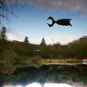 Tomu Dj - antagonist - Import LP Record