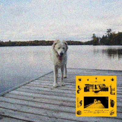 Jaguar Sun - Daisy - Import CD