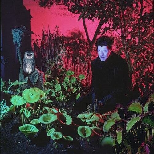 Fabric - Until We Are Free - Import Vinyl LP Recurd