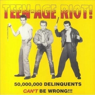 Various Artists - Teen-Age Riot! - 50.000.000 Delinquents Cant Be Wrong!!! - Import Vinyl LP Record