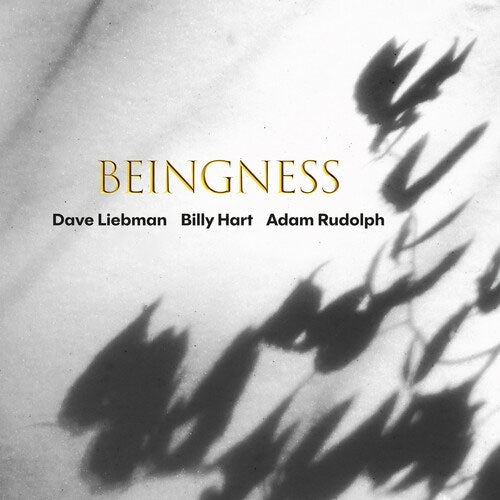 Dave Liebman										、Billy Hart										、Adam Rudolph - Beingness - Import CD