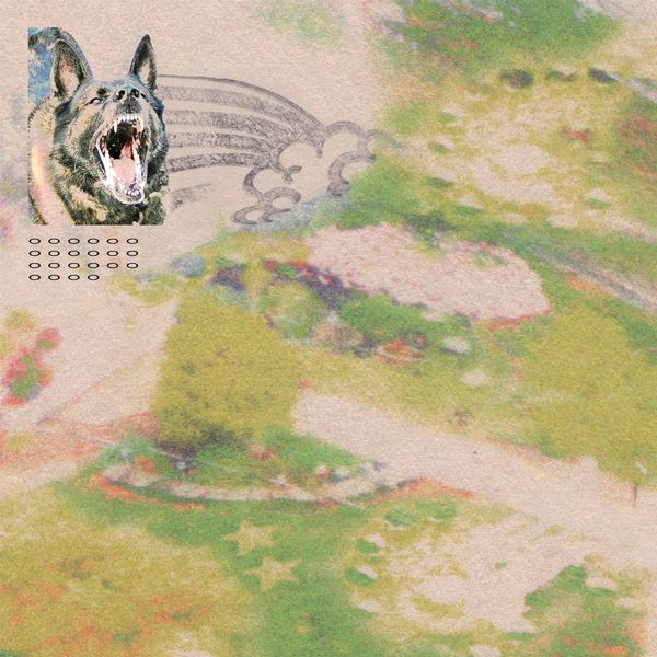 Feeble Little Horse - Girl With Fish - Import CD