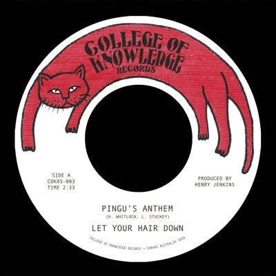 Let Your Hair Down - Pingu's Anthem / Gronk - Import Vinyl 7 inch Single Record