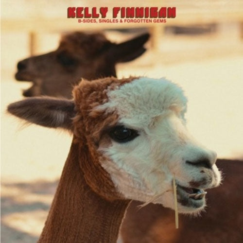 Kelly Finnigan - B-Sides, Singles & Forgotten Gems - Import CD