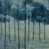 Camera Obscura - Desire Lines - Import CD