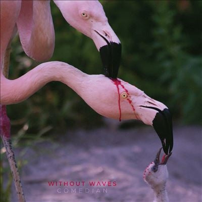 Without Waves - Comedian - Import CD