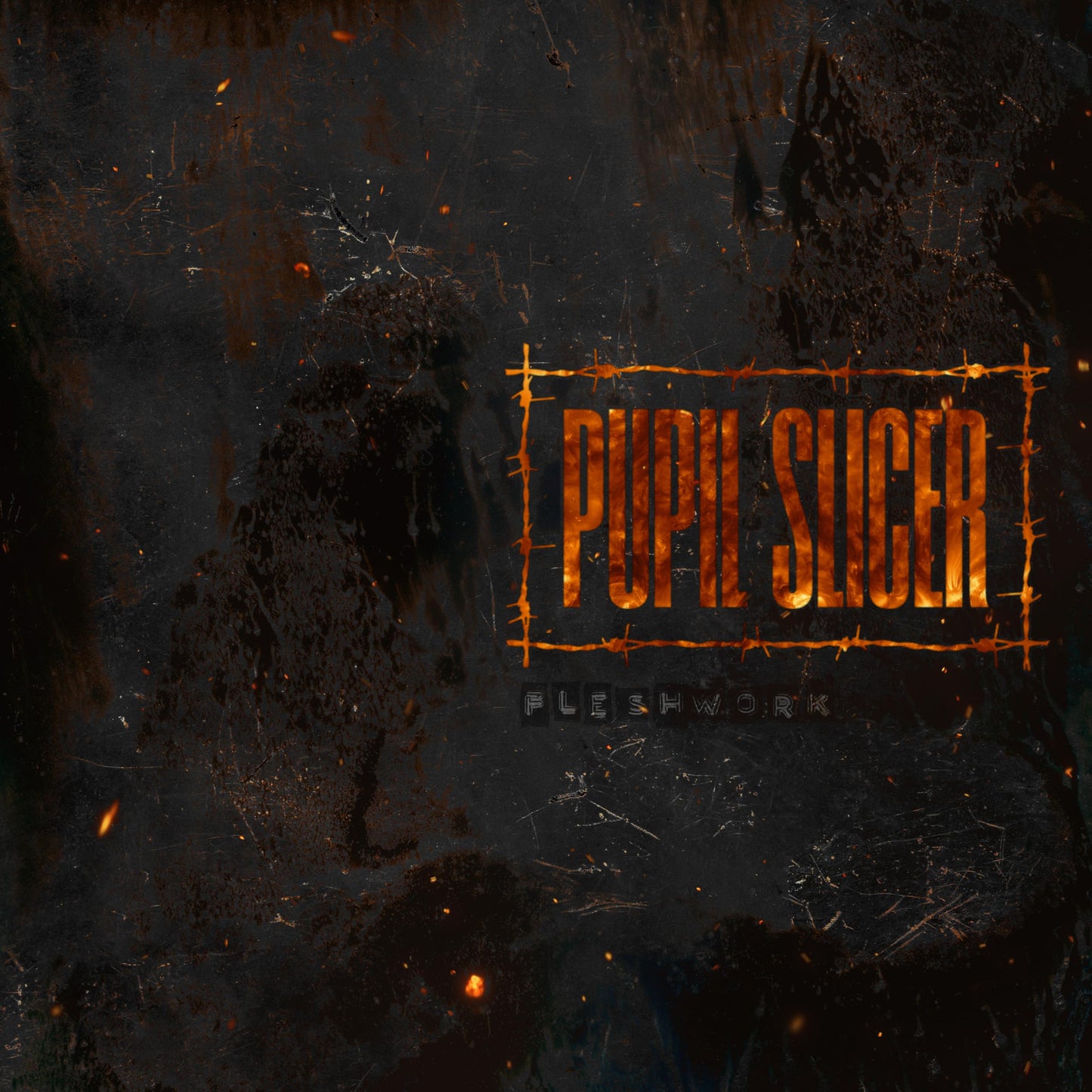 Pupil Slicer - Fleshwork - Import CD