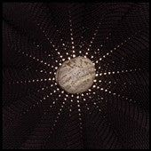 Nat Baldwin - In the Hollows - Import CD