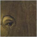 Boom Bip & Doseone - Circle - Import CD