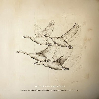 Near The Pond - Wild Geese - Import CD