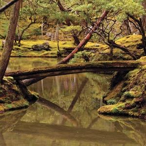 Rebecca Foon & Aliayta Foon-Dancoes - Reverie - Import CD