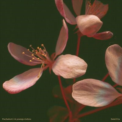 Pachakuti 、 Young.Vishnu - Semilla - Import Vinyl LP Record