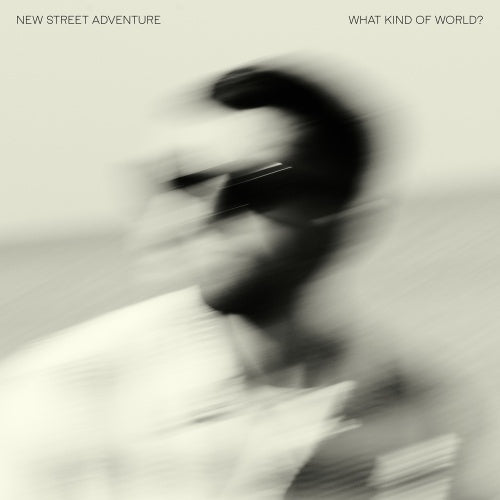 New Street Adventure - What Kind Of World? - Import LP Record