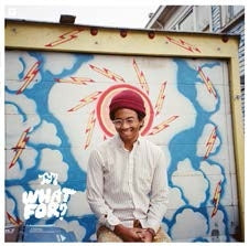 Toro Y Moi - What For? - Import CD