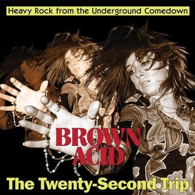 Various Artists - Brown Acid - The Twenty-Second Trip - Import Vinyl LP Recurd