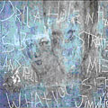Jim White - Drill A Hole In That Substrate - Import CD
