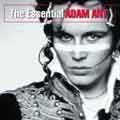 Adam Ant - The Essential Adam Ant - Import CD