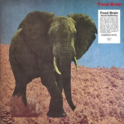 Food Brain - Social Gathering - Import Vinyl LP Record