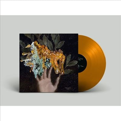 Delish - The Dip - Import LP Record