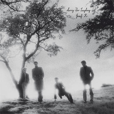 Josef K - Sorry For Laughing (+ the TV Art Demos) - Import Vinyl LP Record+CD