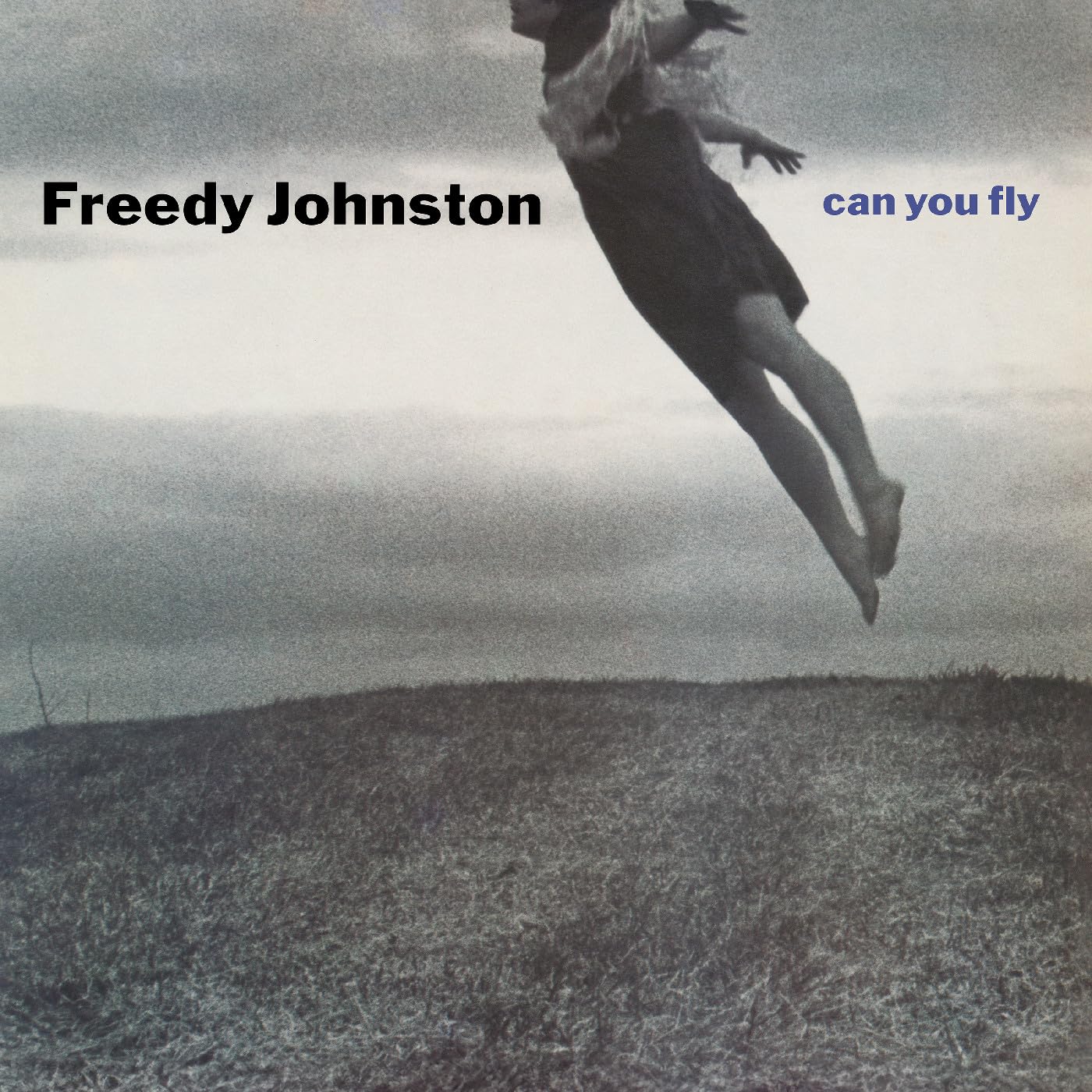 Freedy Johnston - Can You Fly - Import Clear Vinyl LP Record
