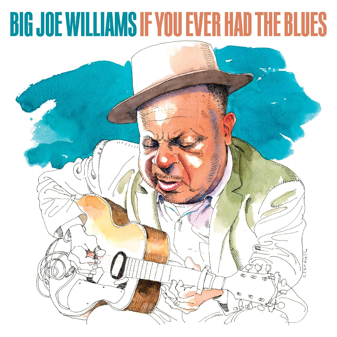 Big Joe Williams - If You Ever Had The Blues - Import CD