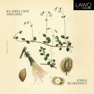 Nynorsk Messingkvintett - Hornflowers - Import CD