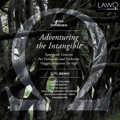 Stalheim / Oslo Po - Adventuring The Intangible - Import CD