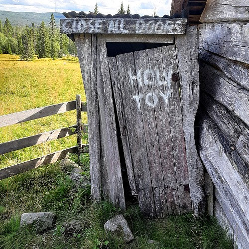 Holy Toy - Close All Doors - Import Limited 250 Copies 180g Coloured Vinyl 2LP Record+CD