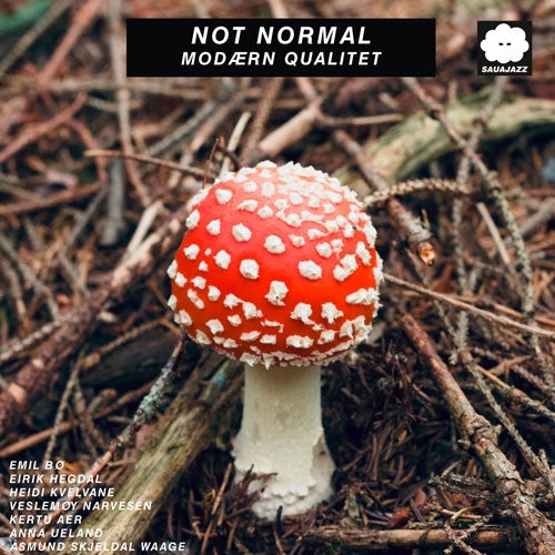 Not Normal - Modaern Qualitet - Import LP Record